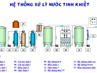 Hoa Tặng Ngày 20/10 Đẹp