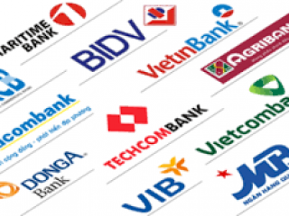 HỌC BÍ KÍP GIỮ HOA TƯƠI LÂU TRONG NGÀY TẾT  (1)